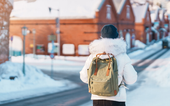 Guía internacional de viajes de invierno 2025: consejos de planificación y cobertura de seguros