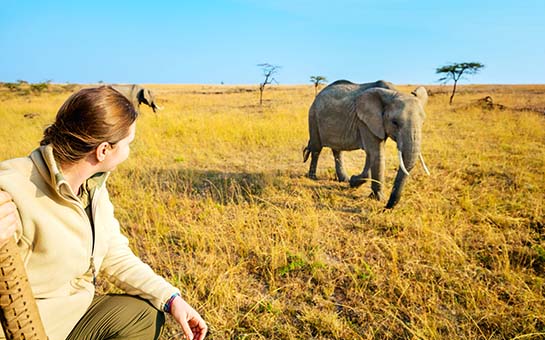 Consejos para viajar a Kenia