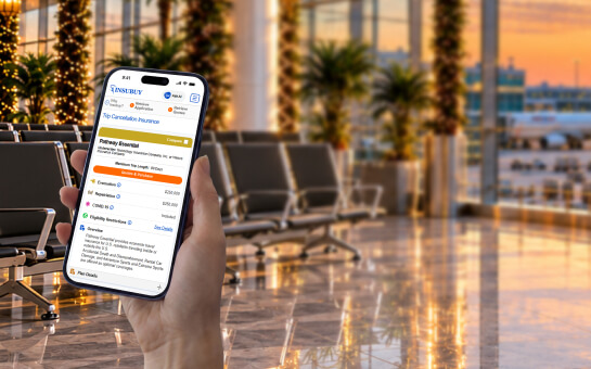 Trip Cancellation Insurance for Winter Holiday Travel