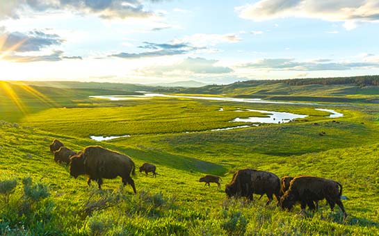 Las audiencias televisivas han convertido a Montana en un punto de atracción turística