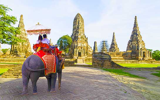 骑乘大象旅游保险