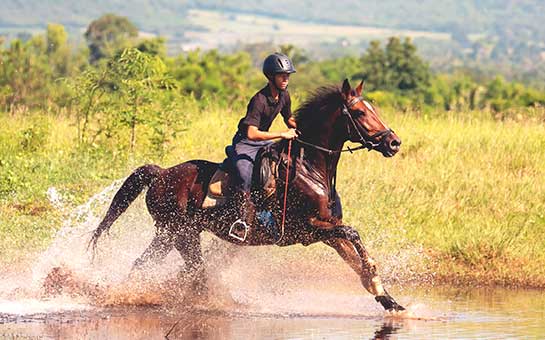 Equestrian Sports Travel Insurance