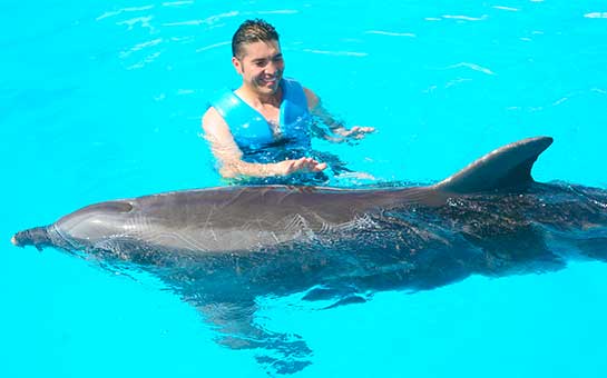 Seguro de viaje para nadar con delfines