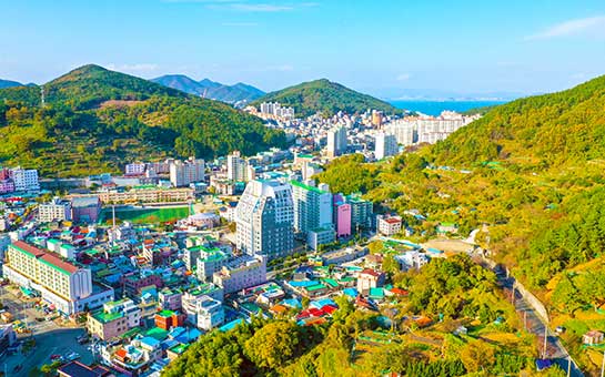 Busan Travel Insurance
