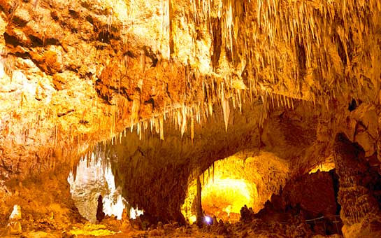 Seguro de viaje al parque nacional Cavernas de Carlsbad