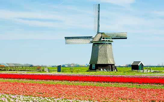 荷兰签证旅游保险
