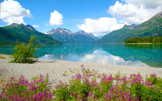 Lake Clark National Park Travel Insurance