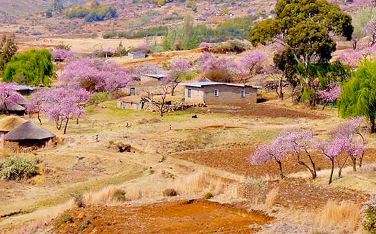 莱索托旅游保险