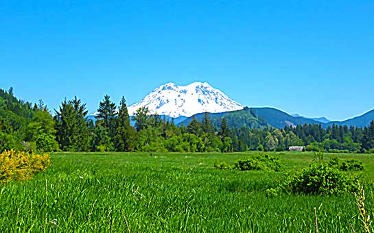 Mount Rainier National Park Travel Insurance