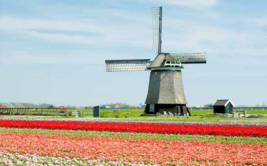 Seguro de viaje para visa Países Bajos