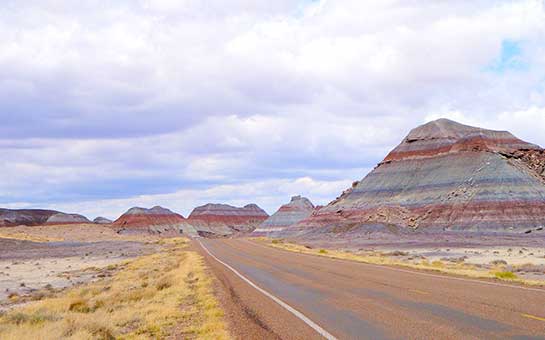 Petrified Forest National Park Travel Insurance