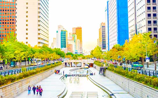 Seoul Travel Insurance