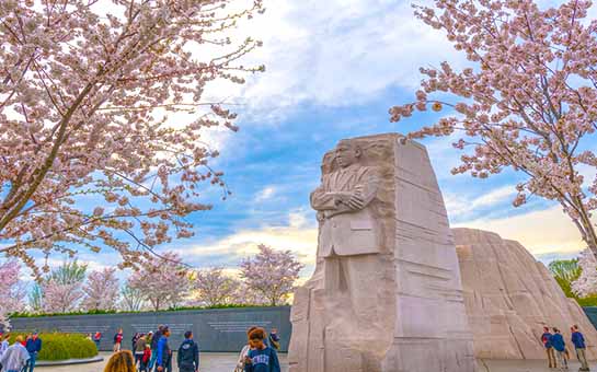 Washington DC Monuments and Memorials Travel Insurance