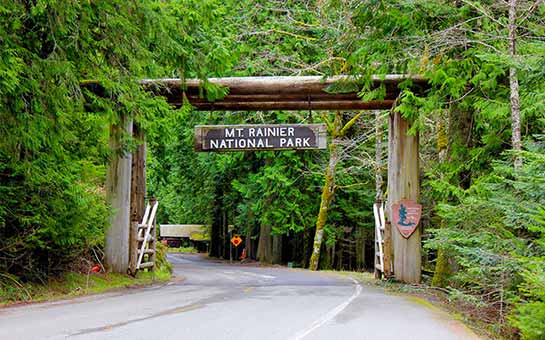 Washington Travel Insurance