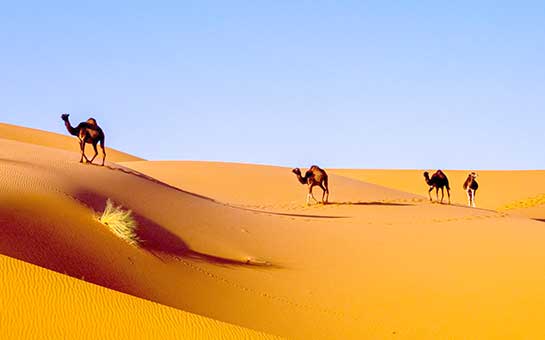 Seguro de viaje a Sáhara Occidental