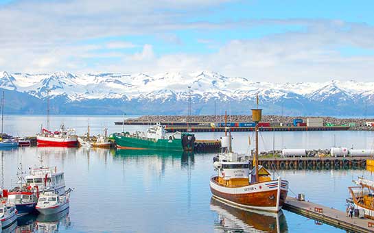 Seguro de salud para expatriados en Islandia