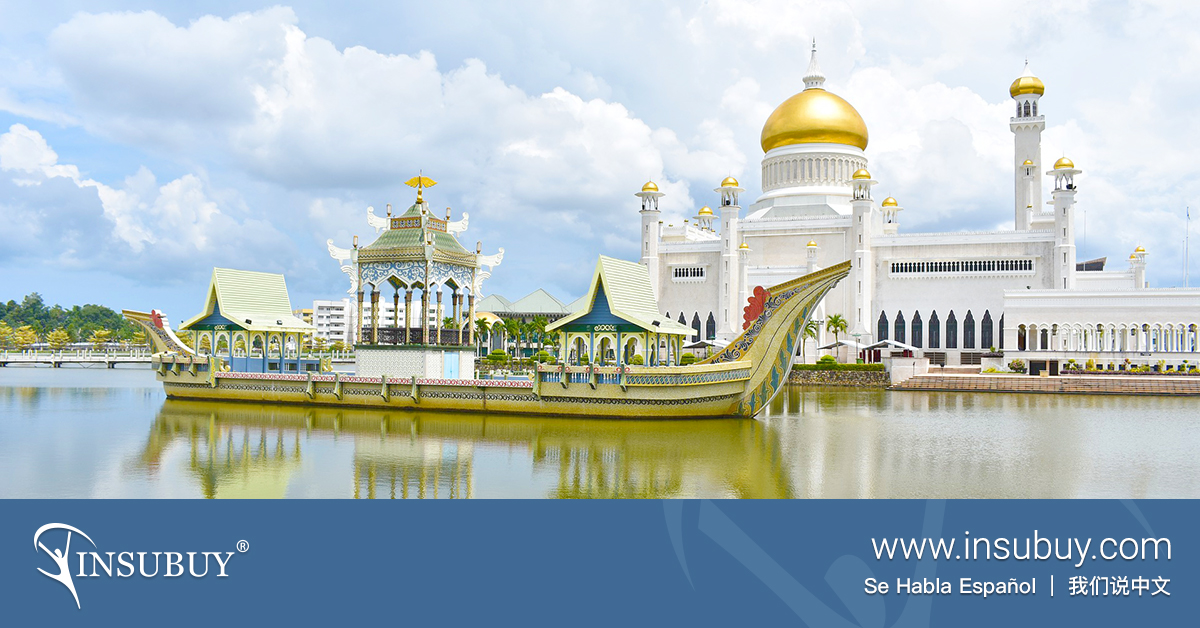 insurance travel brunei