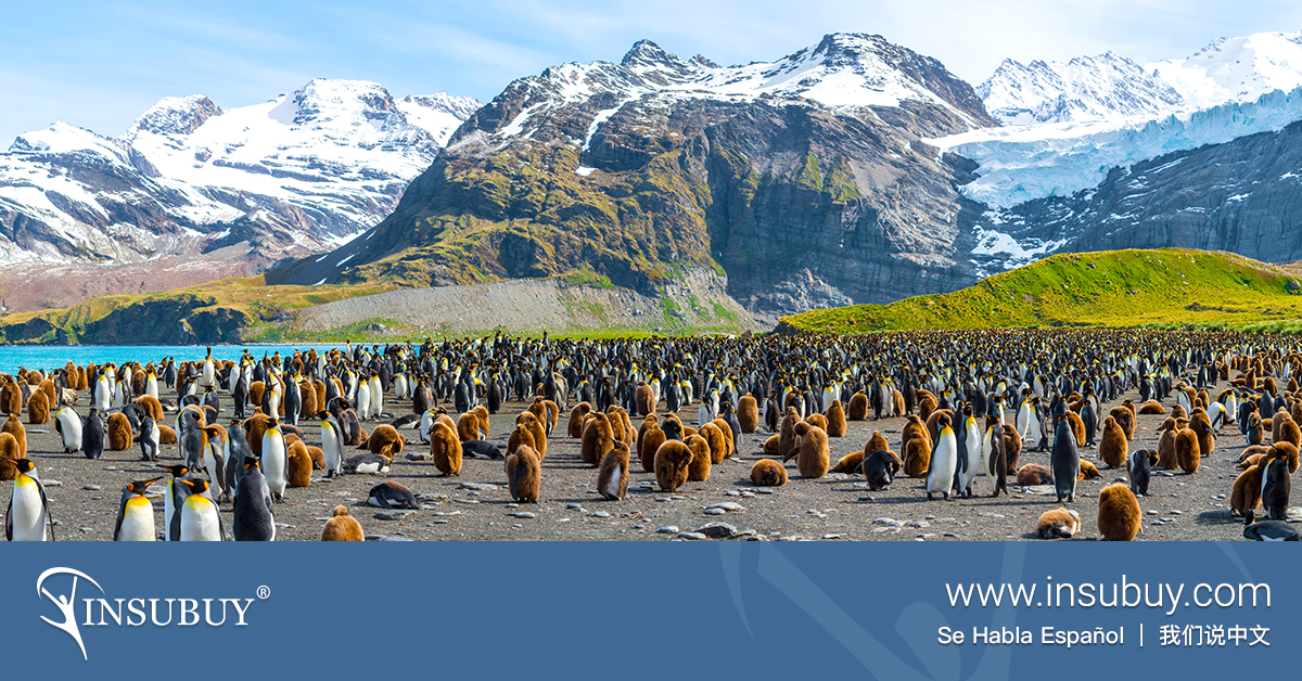 South and the South Sandwich Islands Travel Insurance