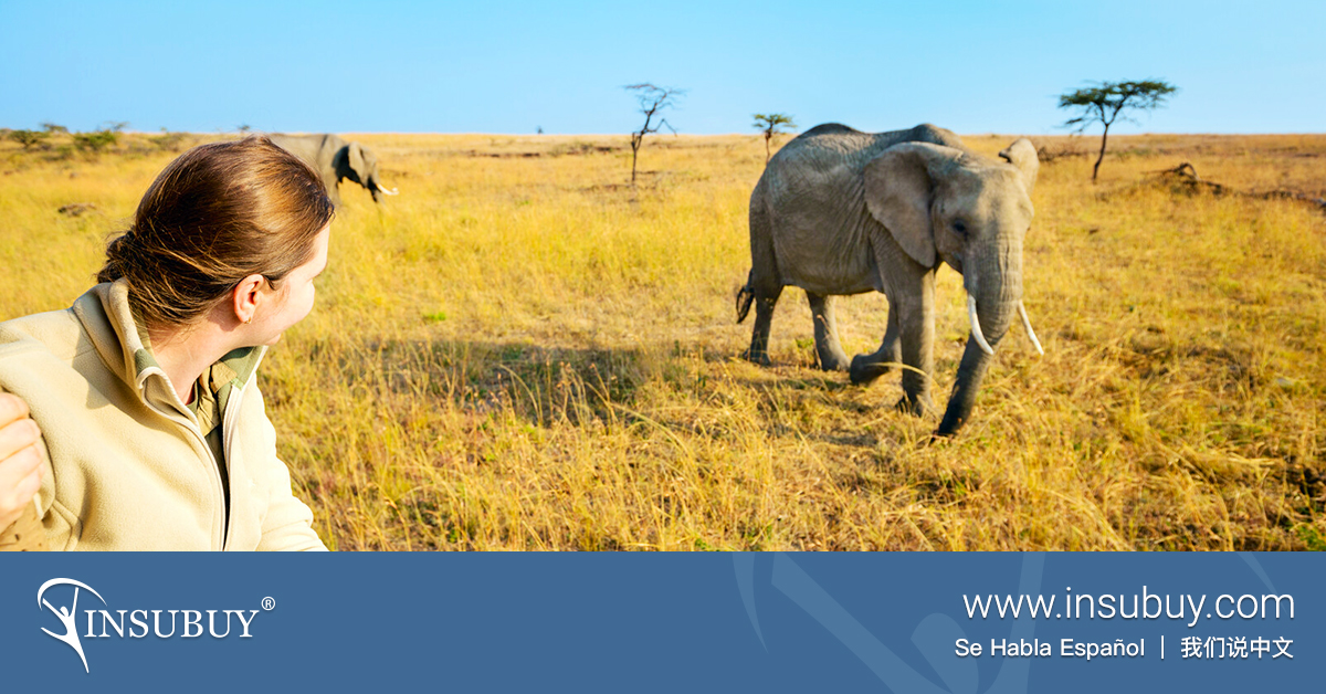 Tips for Traveling to Kenya