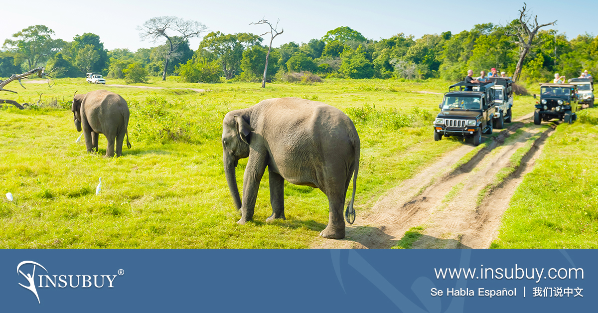 safari travel insurance uk
