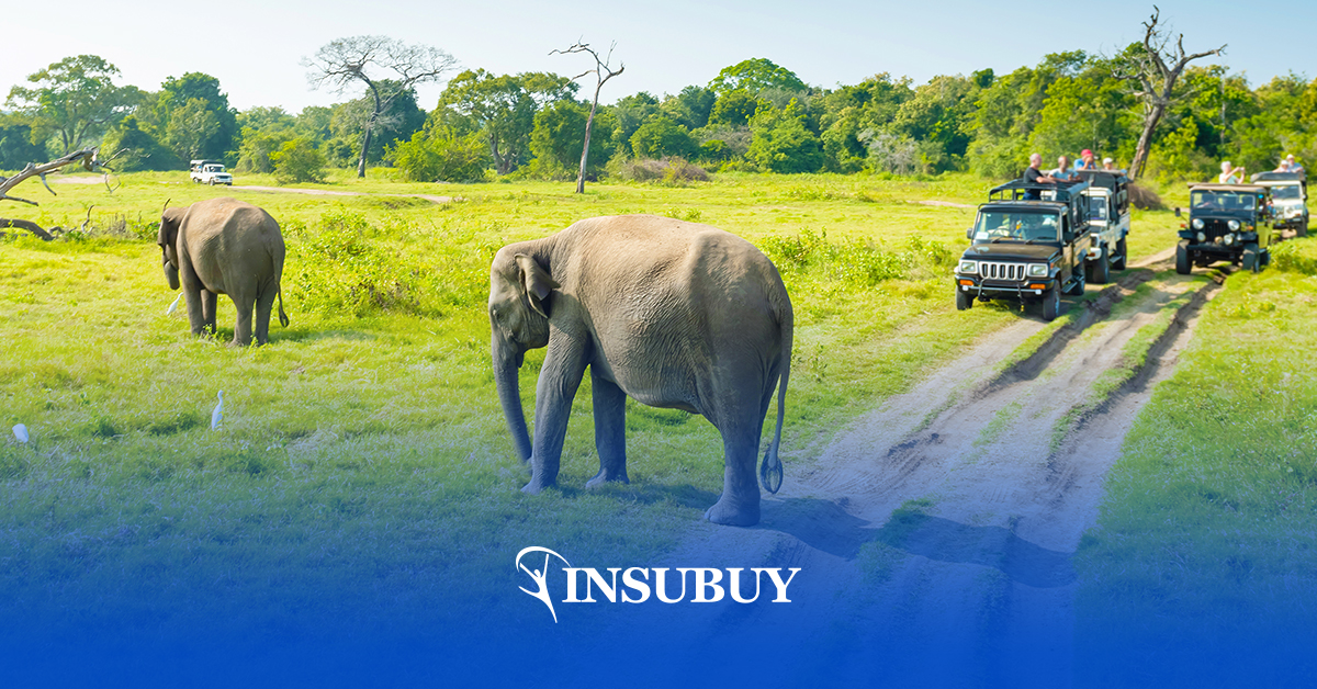 Best Travel Insurance for Safari: Ultimate Protection Tips