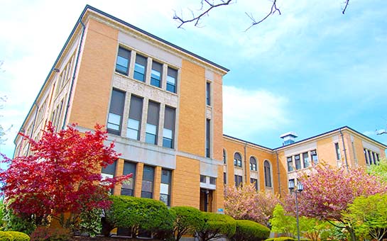 International Student Medical Insurance