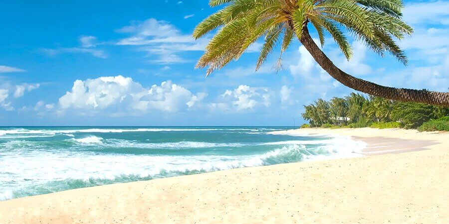 Round Trip Economy Insurance - Travel Insurance